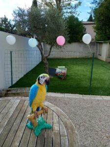 marionnette articulée 7072460415111018304